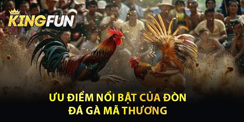 Ưu Điểm Nổi Bật Của Đòn Đá Gà Mã Thương